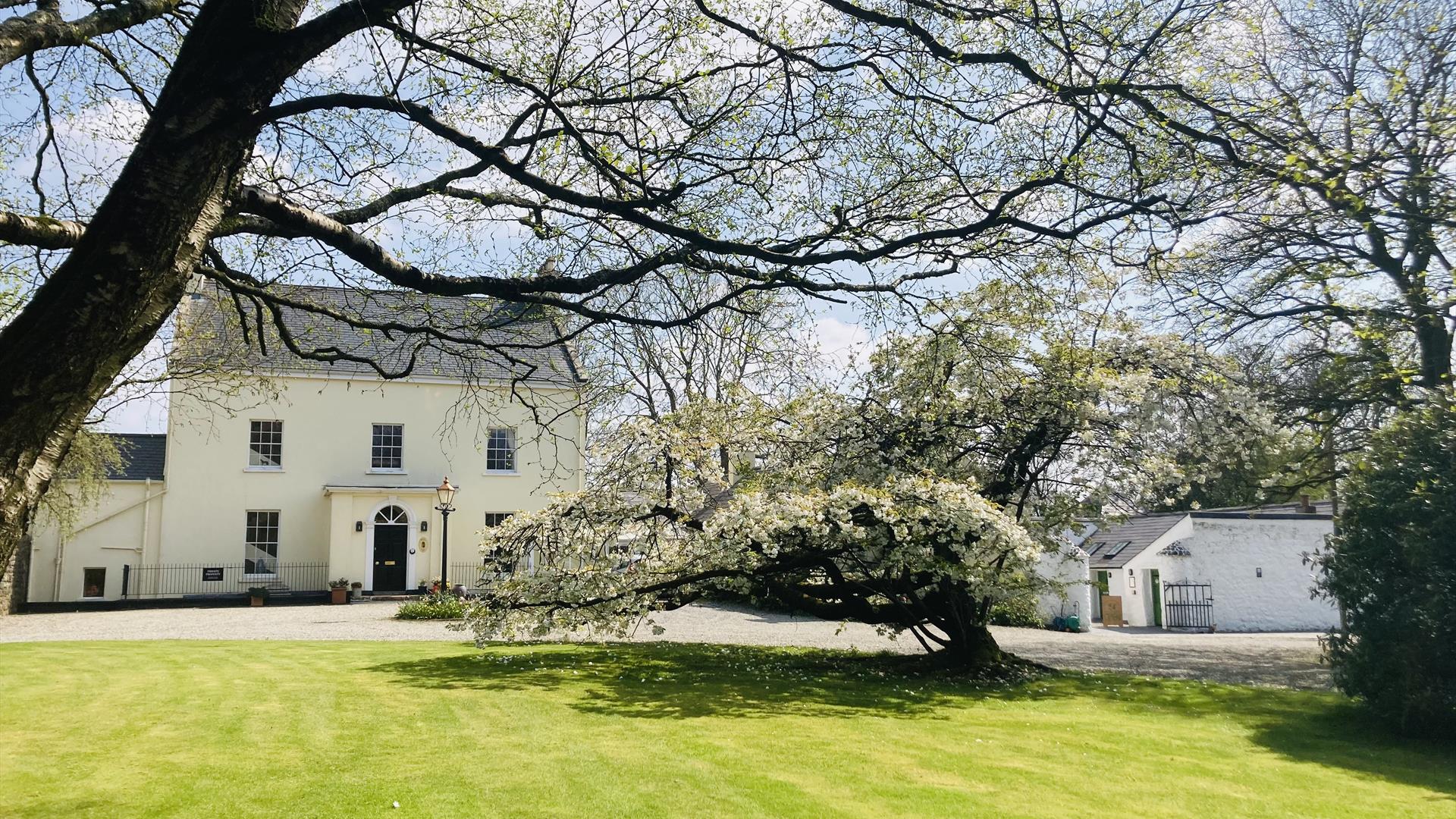 Image of a large white Georgian house with a green manicured lawn in front and a few trees.